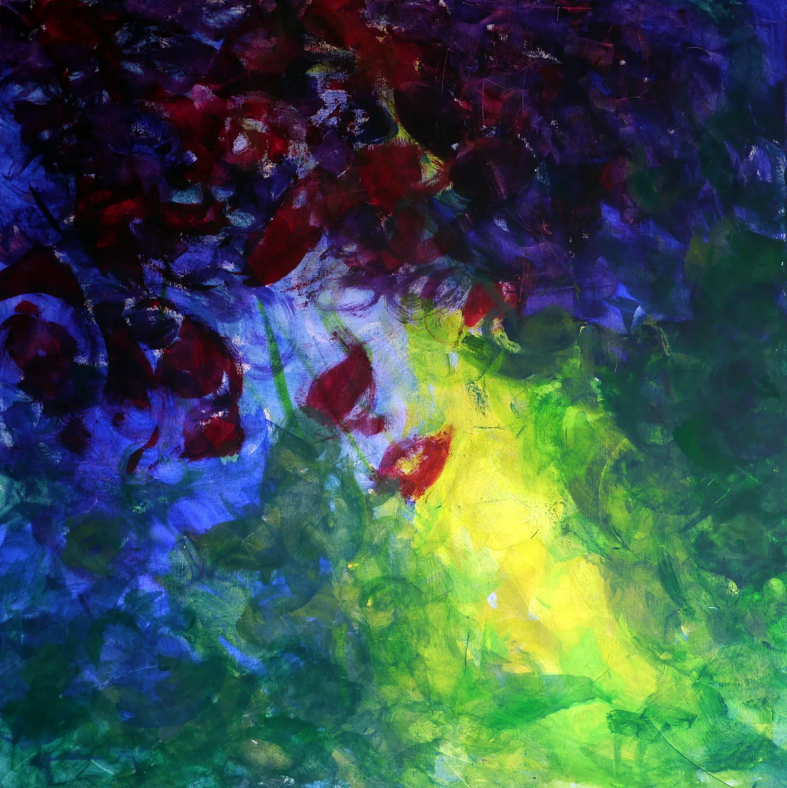 flowers and light