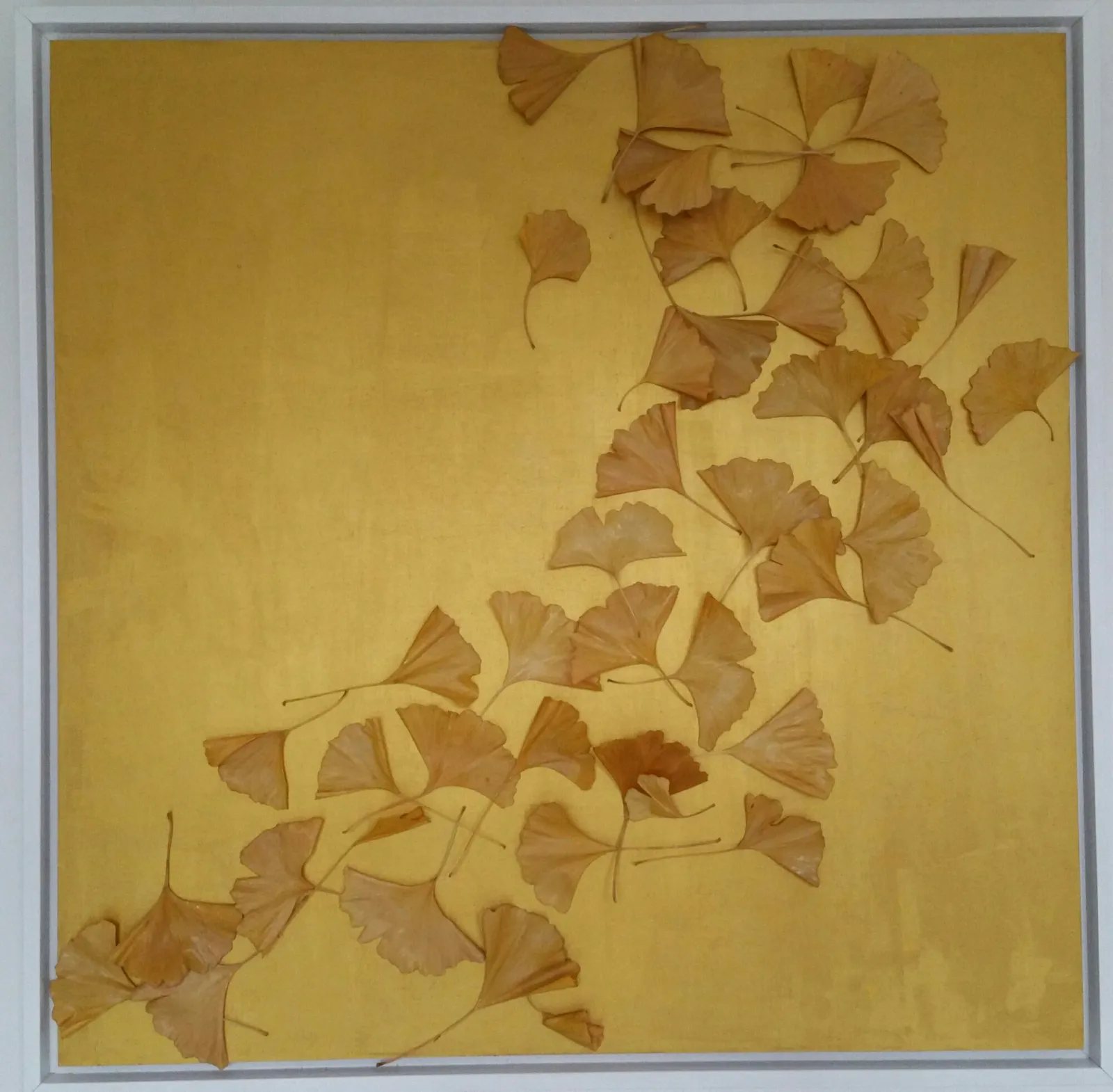 Golden Ginko