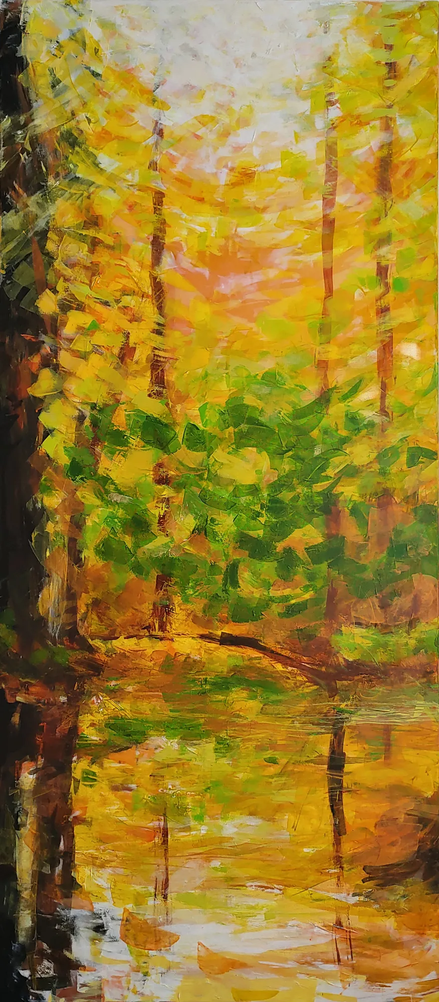 Wald im Sonnenuntergang
